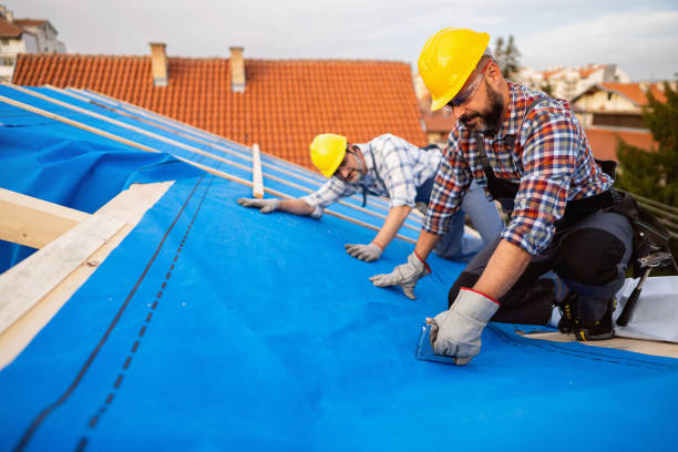 Best Flat Roof Repair Services  in Manchester, IA